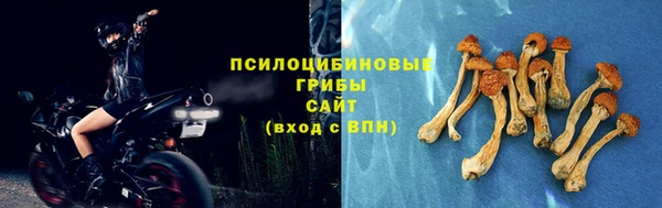 мескалин Горняк