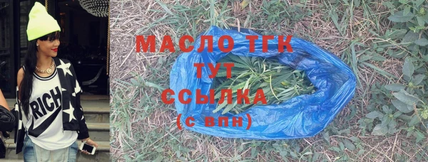 скорость Гусев