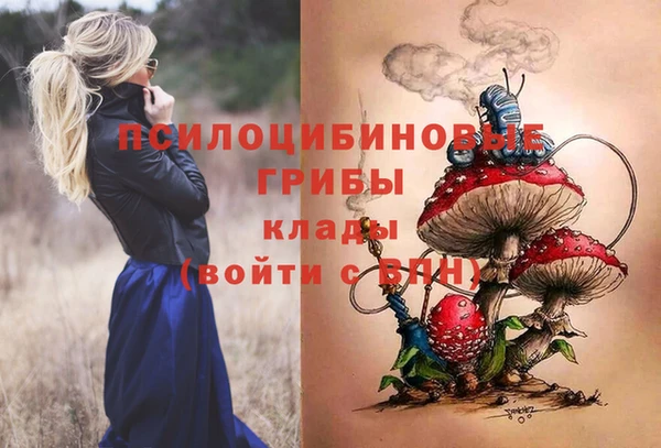 спиды Гусиноозёрск