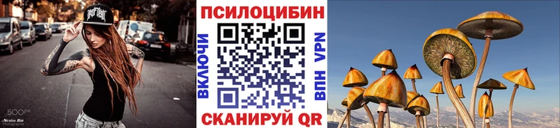 Псилоцибиновые грибы мицелий  Купить закладки  Козельск 