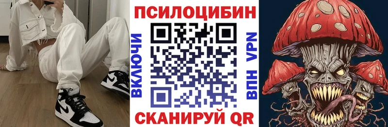 Псилоцибиновые грибы Cubensis Козельск